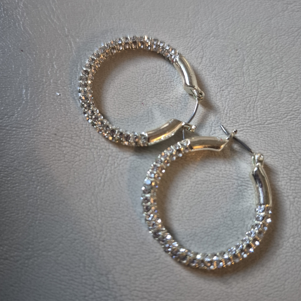 Elegant Silver Hoop Earrings
